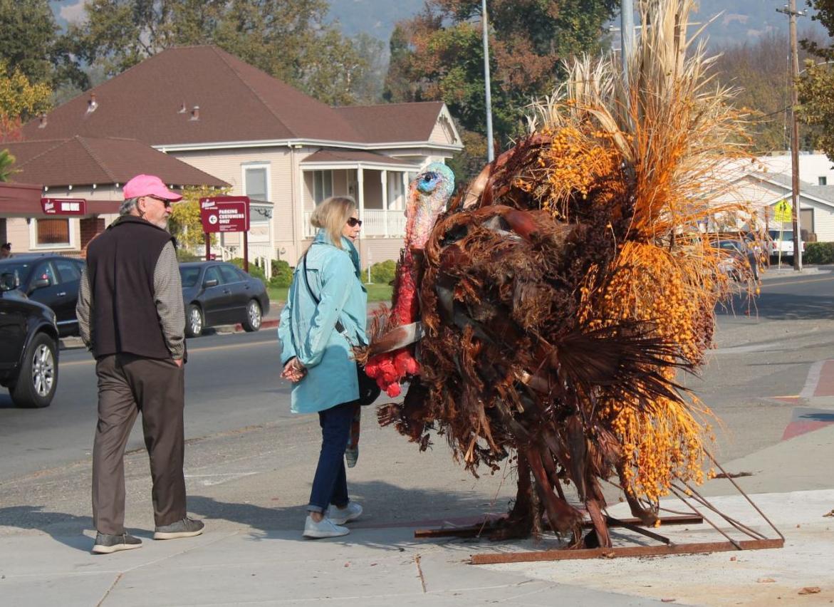 Mystery turkey
